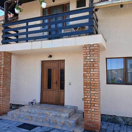 Casa Loredana Cîrţişoara Екстериор снимка