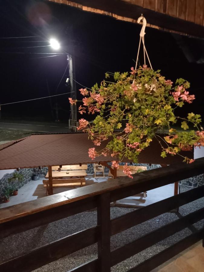 Casa Loredana Cîrţişoara Екстериор снимка