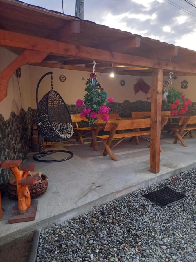 Casa Loredana Cîrţişoara Екстериор снимка